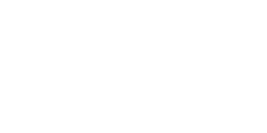 Logo firmy Tacho-Soft mieszczącej się w Jaworznie przy ul. Niemcewicza 2